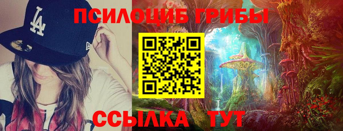 Галлюциногенные грибы Psilocybine cubensis Белая Калитва