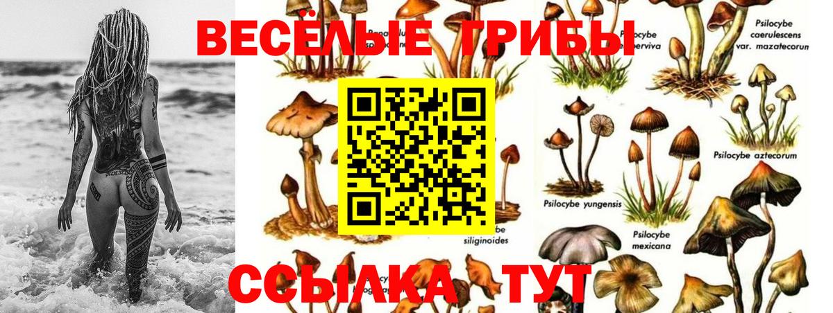 Галлюциногенные грибы мицелий  Галлюциногенные грибы GOLDEN TEACHER  Белая Калитва  Вход с VPN 